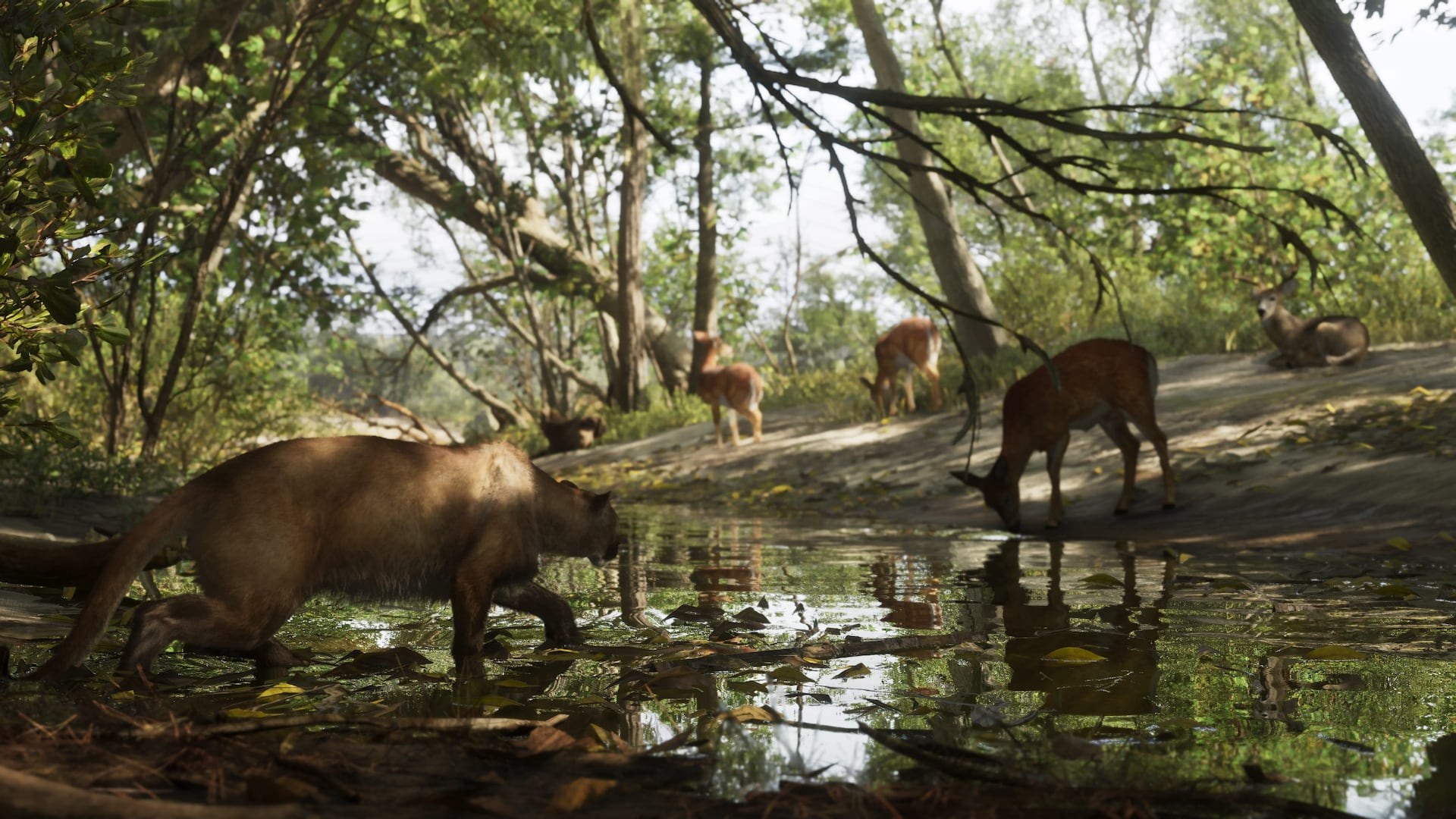 Screenshot de GTA VI: Mount Kalaga National Park 05. Publicado por Rockstar Games.